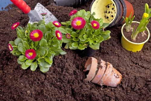 Illustration of a gardening complaint being logged and reviewed