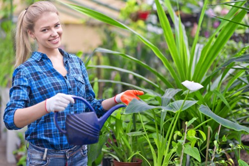 Reporting modern slavery concerns within Gardeners Wormwood Scrubs