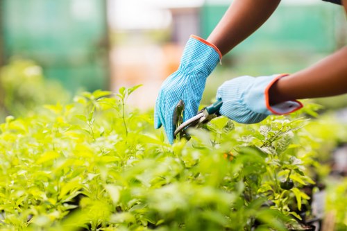 Gardening service terms and conditions introduction