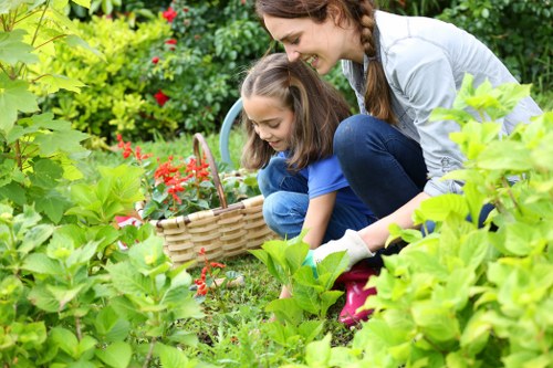 Seasonal lawn care routine for a greener garden in Wormwood Scrubs
