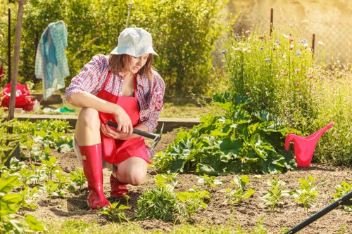 Professional garden maintenance in Wormwood Scrubs improving lawn and plant health