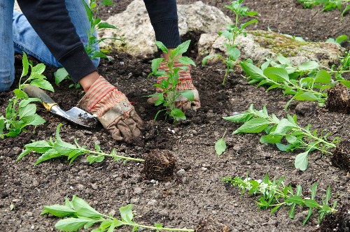 PCI compliant Gardeners Wormwood Scrubs payments area for safe checkout