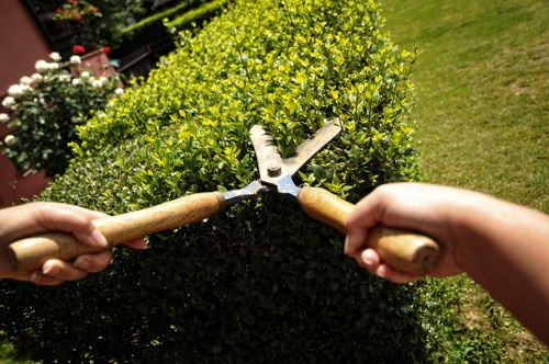 Image representing the final closure of a gardening complaint