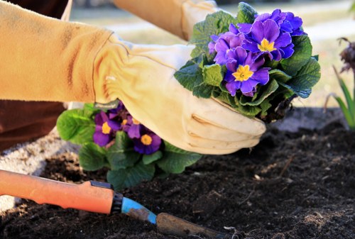 Marketing cookies used for relevant gardening promotions