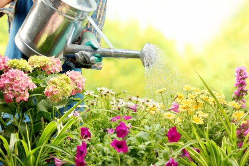 Regular garden maintenance in Wormwood Scrubs