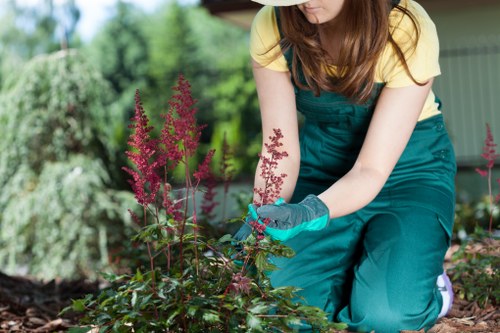 Payment and invoice terms for garden services