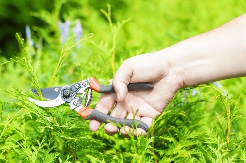 Governing law section for UK gardening service terms