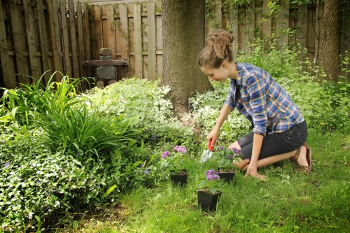 Low-maintenance landscape gardening in Wormwood Scrubs with seasonal planting and structure