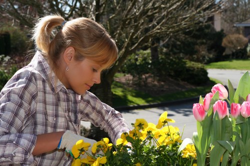 Seasonal lawn maintenance tasks for Wormwood Scrubs gardens and turf health