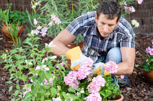 Local transfer station handling recyclable garden materials