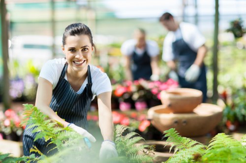 About Us Gardeners Wormwood Scrubs delivering reliable seasonal garden care